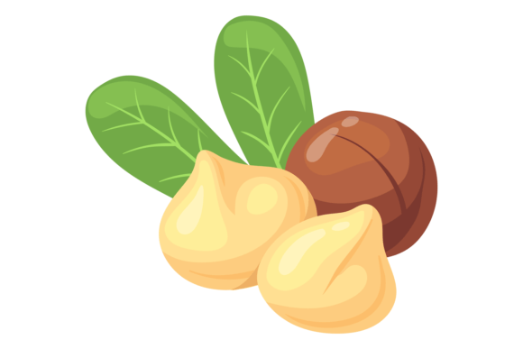 Download Macadamia Nut Cartoon Icon. Healthy Prot - Healthy Collection